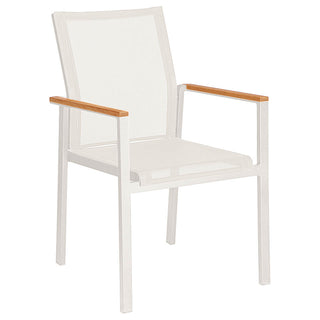 Aura Dining Arm Chair