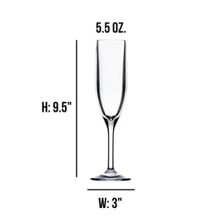 Revel 5oz Champagne Glass