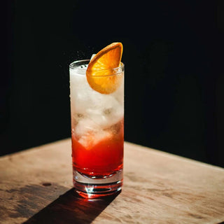 Havana 16 oz Cooler