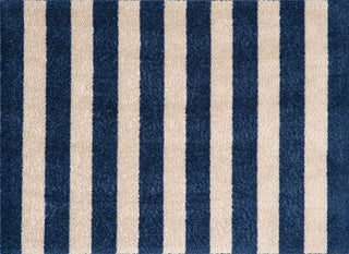 Indoor Washable 20x27" Rug