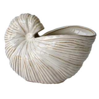 Nautilus Shell Vase