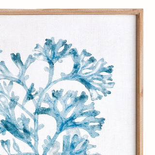 Translucent Coral Painting