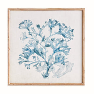 Translucent Coral Painting